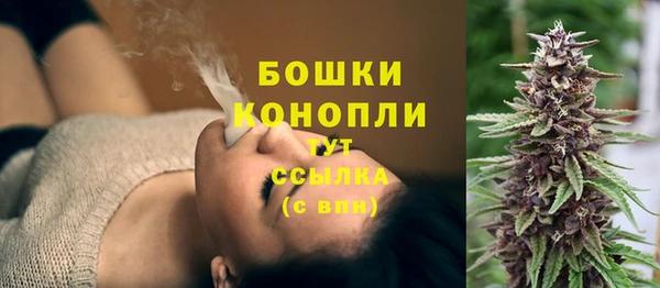 амф Богородск