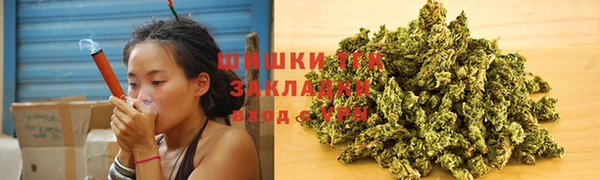 эйфоретик Богданович