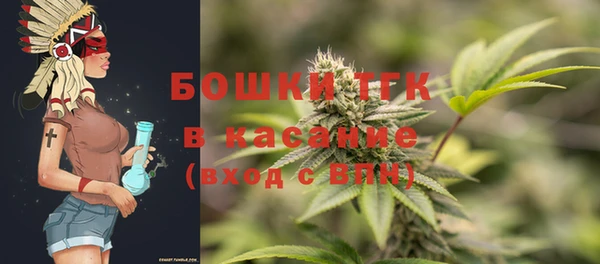 амф Богородск