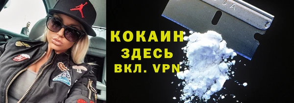 эйфоретик Богданович