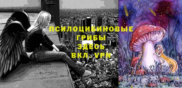 кокаин перу Богородицк